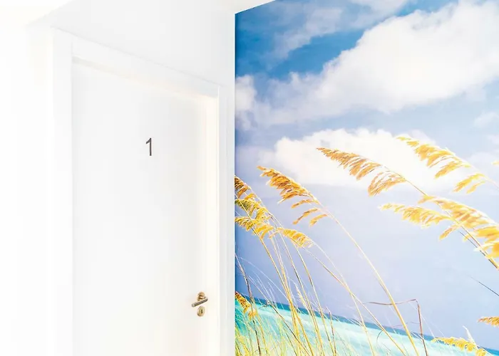 Hostel Da Palmeira *